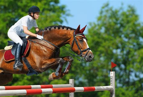 Los concursos de salto a caballo más importantes - Cosas de Deportes