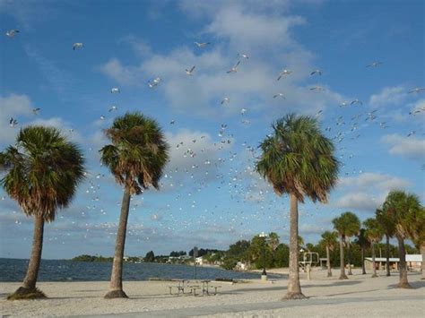 Spring Hill 2020: Best of Spring Hill, FL Tourism - TripAdvisor