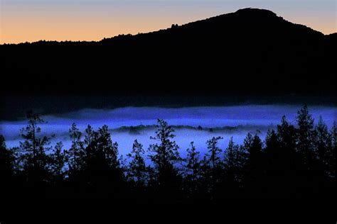 Blue Fog Photograph by Pauline Darrow - Fine Art America