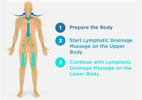 Lymphatic Massage For Weight Loss | Blog Dandk