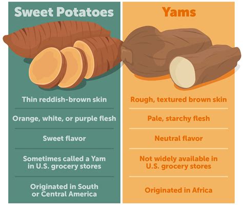 Sweet Potato vs Yam: What's the Difference? | Yams vs sweet potatoes ...