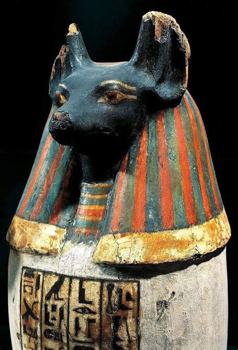 pseudo canopic jar with the jackal head of the God Duamutef, one of the ...