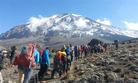 When is the Best Time to Climb Mount Kilimanjaro? | Uganda Safaris