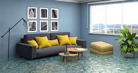 Guide to the Water Damage Restoration Process | Amerestore