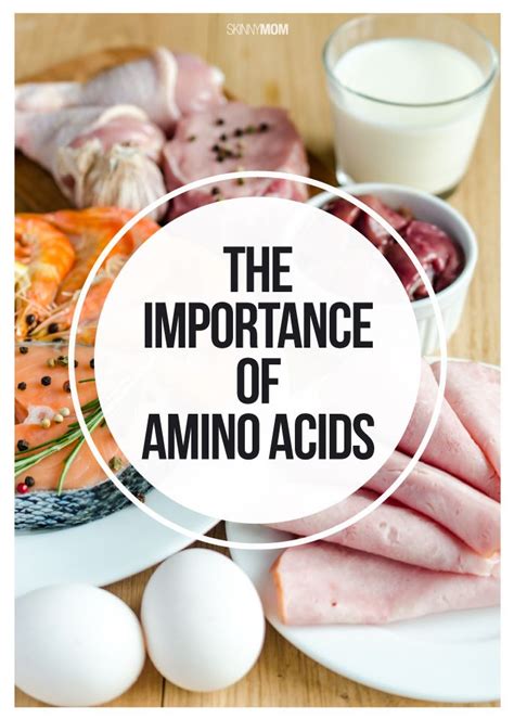 Glossary of Supplements: Amino Acids | Amino acids benefits, Amino ...