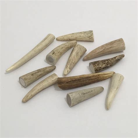 10 Ct Elk Antler Tips 2-4 1 & 2 Antlers - Etsy