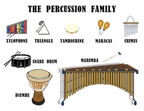 Musical Instrument Families | Instrument families, Percussion ...