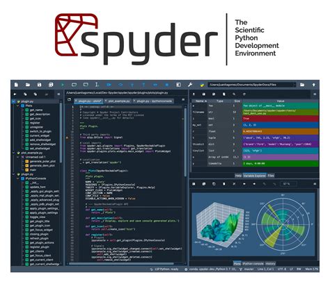 2.2. Configuring Spyder — Biomechanical Analysis using Python and ...