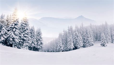 Winter Backgrounds Top Winter Desktop Backgrounds | wallpapers ...