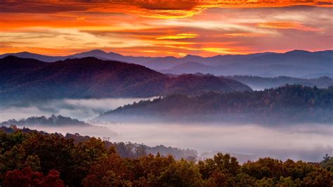 Great Smoky Mountains Fall Foliage 2025 - Gleda Alexine