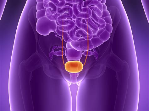 Cloacal Exstrophy: Symptoms, Causes, and Treatment