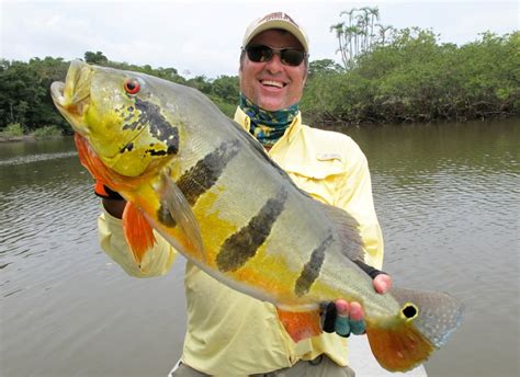 Amazon River Species - River Plate Anglers