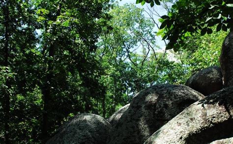 Elephant Rocks State Park | Missouri State Parks