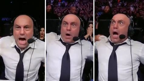 Joe Rogan loses his mind over ‘greatest head kick knockout’, at UFC 278 ...