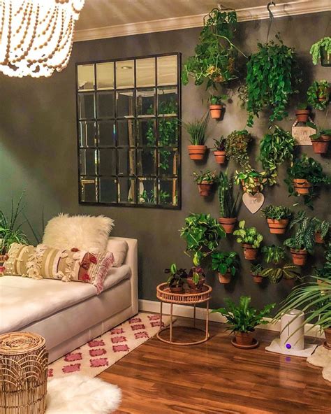 30+ Hanging Plants Indoor Living Room – DECOOMO