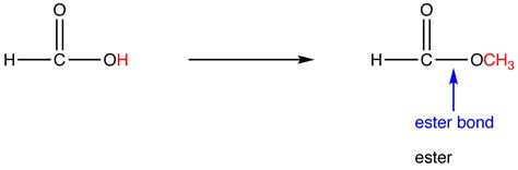 Zoology | 135127 - What is ester bond, peptide bond and glycosid-askIITians