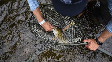 Fly Fishing for Bass | Best Fly Rod for Bass