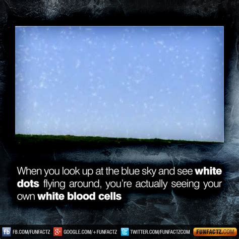 When you look up at the blue sky and see white dots flying around, you ...