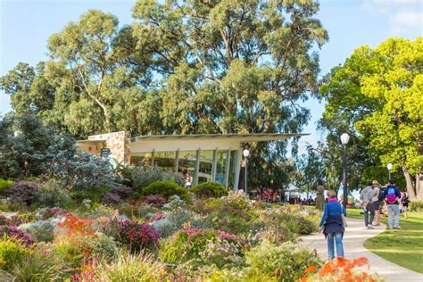 All hail the King: It’s wildflower time in Perth’s amazing Kings Park ...