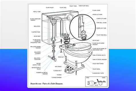 Guide to Parts of a Toilet With Diagrams