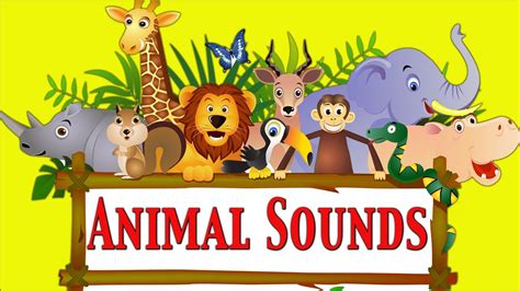 Animal Sounds For Kids ★ Part 1 ★ learn - school - preschool ...