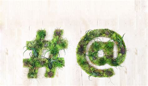 Unique Graffiti Moss Art to Beautify Your Wall