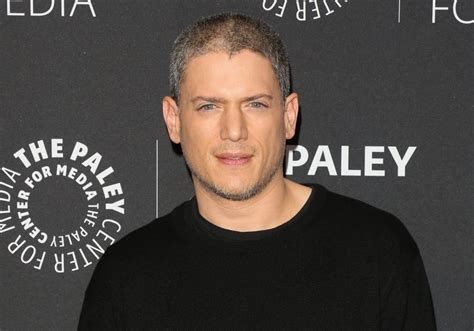 Wentworth Miller Came Out as Gay in 2013 — inside the 'Prison Break ...