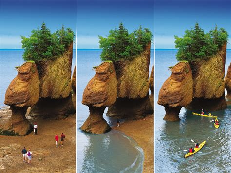 Finding Fundy: Five New Reasons to Visit New Brunswick's Bay of Fundy ...