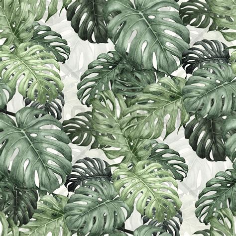 Botany Monstera - Mural de pared y papel tapiz fotográfico - Photowall ...