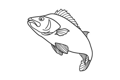 Fish Outline Drawing Illustration Graphic by minhajmia · Creative Fabrica