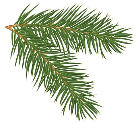 Christmas Tree Leaf Png Pine Branch Png Clip Art Image Pine Branch ...