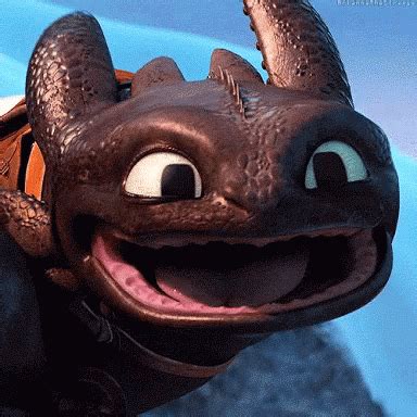 Toothless How To Train Dragon GIF - Toothless How To Train Dragon ...