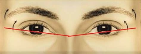 Does Your Canthal Tilt Affect Your Face Attractiveness?