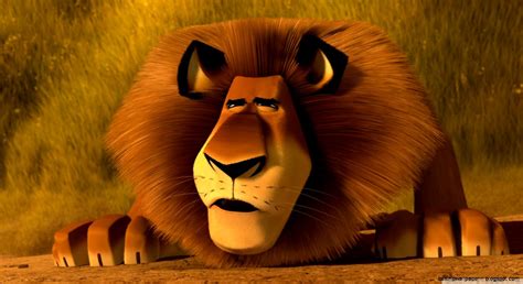 Lion Images Hd Madagascar Desktop | Best HD Wallpapers