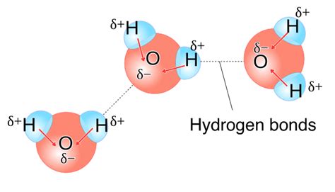 Polarity of Water – Why is Water Polar? | ChemTalk