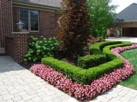 Begonia in gradina, Foto Executive Landscape | Front yard landscaping ...