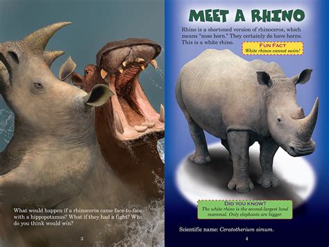 Rhino vs. Hippo (Who Would Win?) | Scholastic Canada