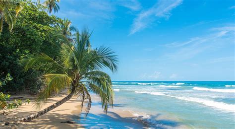 Costa Rica Beaches: Our Top 6 All-Time Favorites