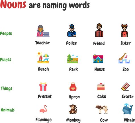 Noun Questions and Answers: A Quick Guide to Nouns in Grammar