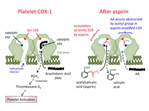 aspirin [TUSOM | Pharmwiki]