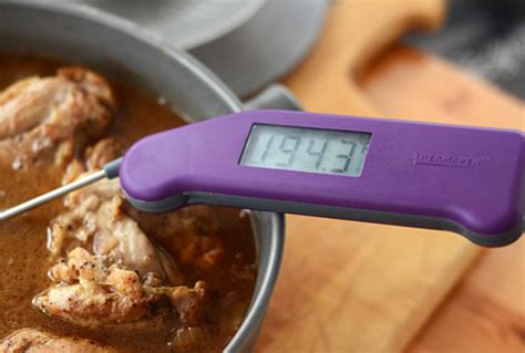 On the Importance of Using Cooking Thermometers: And Our #1 Pick! | Kitchn