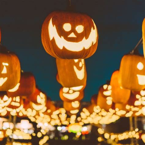 Pumpkin Nights | Learn about the Pumpkin Nights experience