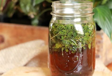 Hebal Infusions {How To Make & Use}