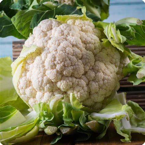 Snowball Y Cauliflower Seeds - Heirloom Untreated NON-GMO From Canada