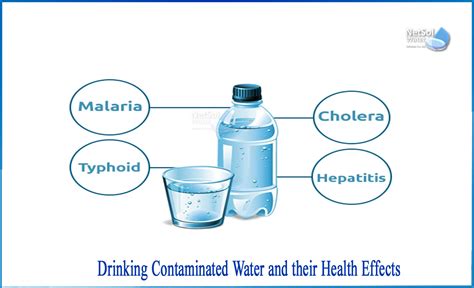 What are the effects of contaminated water on human health