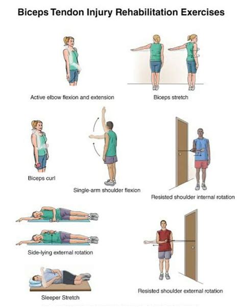 Pin on FitnessRehabWorkout