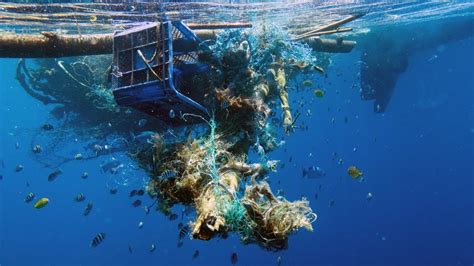 What Are Ghost Nets? The Silent Killers of Our Oceans | ORP