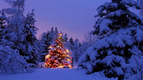 Christmas Scenery Background