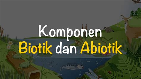 Komponen Biotik dan Abiotik dalam Ekosistem | Freedomsiana