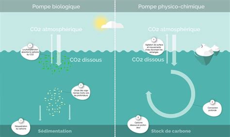 Actualités scientifiques Prépas : 2020